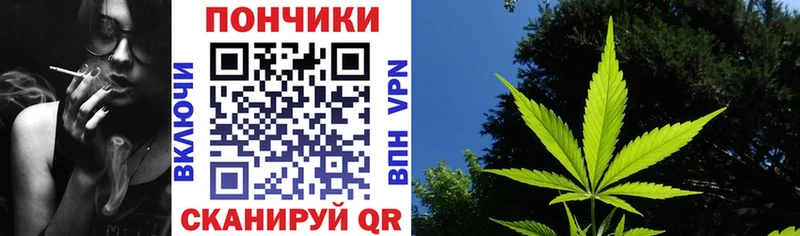 Шишки марихуана MAZAR  Каргат 
